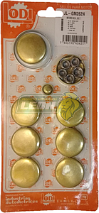 JUEGO SELLO MONOBLOCK G.M. (N, Z) ASTRO, BLAZER, C-10, C-20, 1500, 2500 PK-UP, CAPRICE, S-10, BLAZER, S-10, PICK-UP 6C. M.262 4.3L 85-93