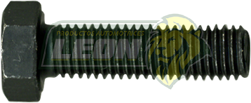 TORNILLO HEX. 7x25 mm P-1.0