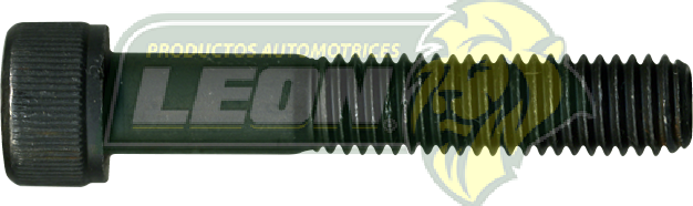 TORNILLO ALLEN 8x45x1.25 mm JUNTA HOMOCINETICA CARIBE HO099H