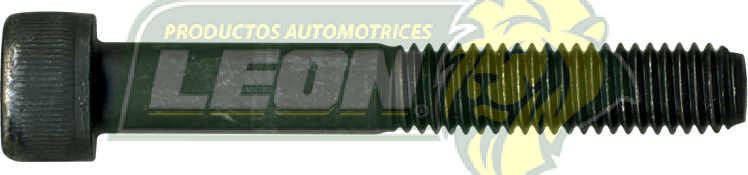 TORNILLO ALLEN 8x55x1.25 mm CALIPER VW GOLF, JETTA HO099HM