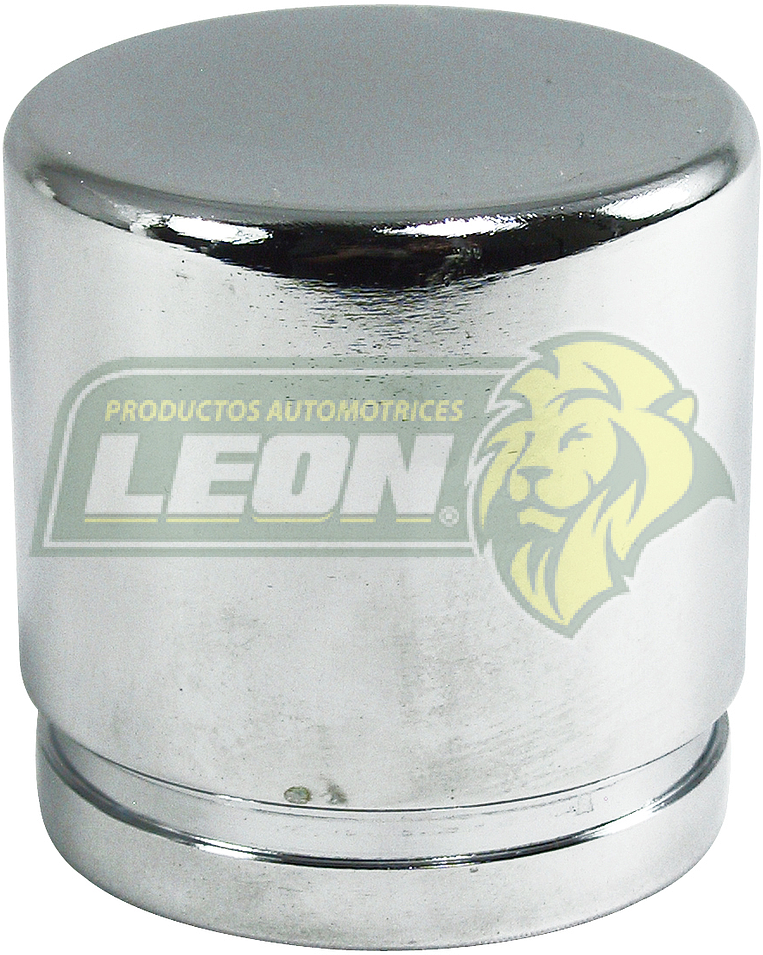 PISTON F.D. HO216I Ø: 48 mm A: 48.5 mm G.M. TRAIL BLAZER 03-12, GMC ENVOY 02-09, ACADIA 07-15, OLDSMOBILE BRAVADA 02-04, TRAVERSE 09-16, BUICK ENCLAVE 10-16 7760 D883, D1507 S/RAN R.T.