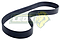 BANDA ALTERNADOR VW VENTO 1.6L 14-19, SEAT IBIZA 1.6L BTS 09-17 C-A/A (6PK1736, K060682) BRUCK