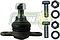 ROTULA SUSPENSION VW EUROVAN T4 2.5L 00-04 (INFERIOR)