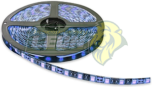 ROLLO HIPERLEDS (300 LEDS 5050 AZULES) 5 mts. RECORTABLE (5M-BLU)