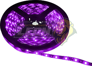 ROLLO HIPERLEDS (300 LEDS 3528 ROSAS) 5 mts. RECORTABLE