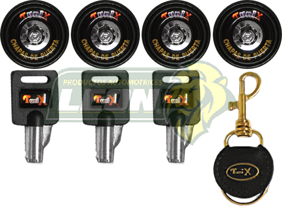 CHAPA DE SEGURIDAD AUTOMOTRIZ 4 CHAPAS