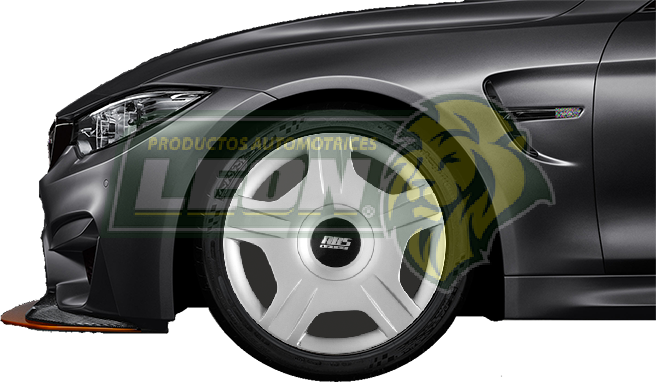 TAPON DE RIN 14" T/FORD IKON (JGO. c/4 pz.)