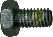 TORNILLO HEX. 6X10 mm P-1.0 PARA FRENO DE ESTACIONAMIENTO G.M. PK-UP VARIAS