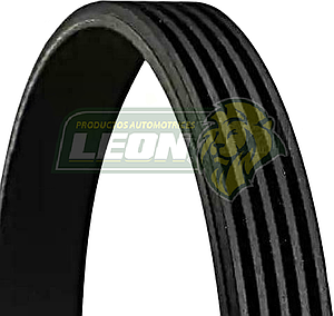 BANDA POLY-V ALT. G.M. AVEO, PONTIAC G3 C-A/A (5PK11568) EU