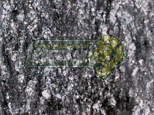 LAMINA DE ASBESTO COMPRIMIDO 1/32 MEDIANO 53x59”