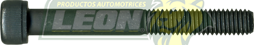 TORNILLO ALLEN 8x65x1.25 mm JUNTA HOMOCINETICA GOLF, JETTA HO099HA