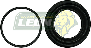 REPUESTRO F.D. PEUGEOT 206 00-08, 307, RENAULT MEGANE II 04-07, KANGOO EXPRESS 04-07 R.D. (DURO)